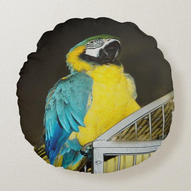 Taz... Rond Kussen (Voorkant)