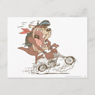 TAZ™ Slick Hog Briefkaart
