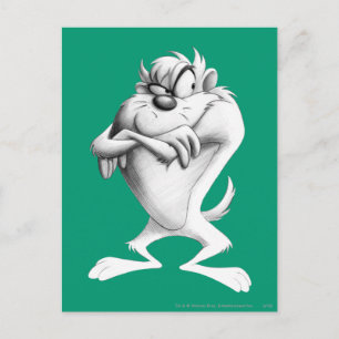 TAZ™ Tekening Briefkaart