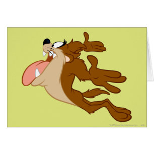 TAZ™ vliegt door de lucht