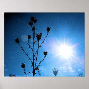 TBA Award - Winner Hope Poster