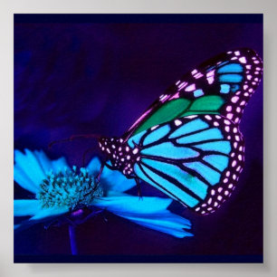- TBA - Papillon dans une affiche de lumière bleue