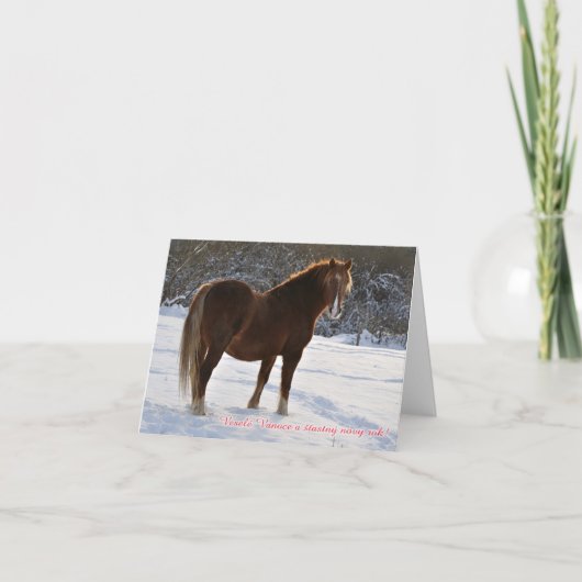 Tchèque, cheval dans la carte de Noël de neige (Devant)