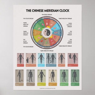 TCM Meridiaan Orgaanklok Poster, Chinese Geneeskun Poster