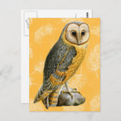 TCWC - Barn Owl Briefkaart (Voorkant / Achterkant)
