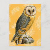TCWC - Barn Owl Briefkaart (Voorkant)