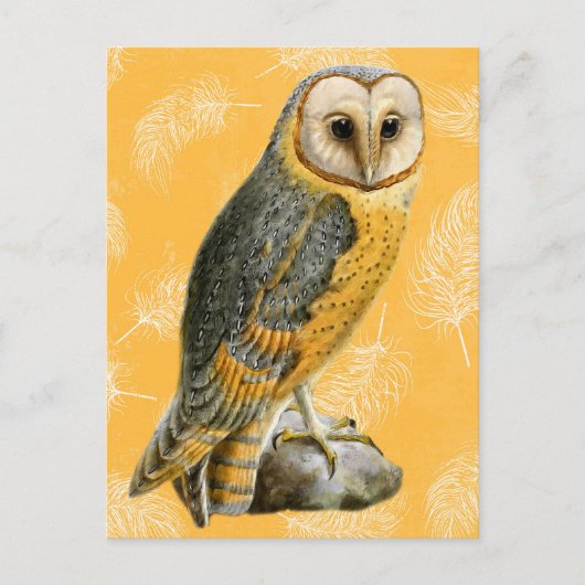 TCWC - Barn Owl Briefkaart (Voorkant)