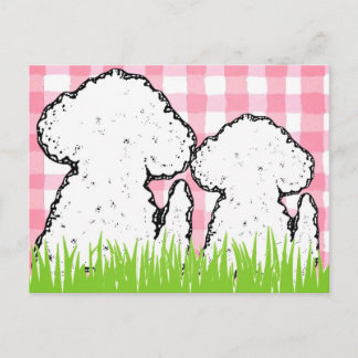 TDD 2 White girls Briefkaart