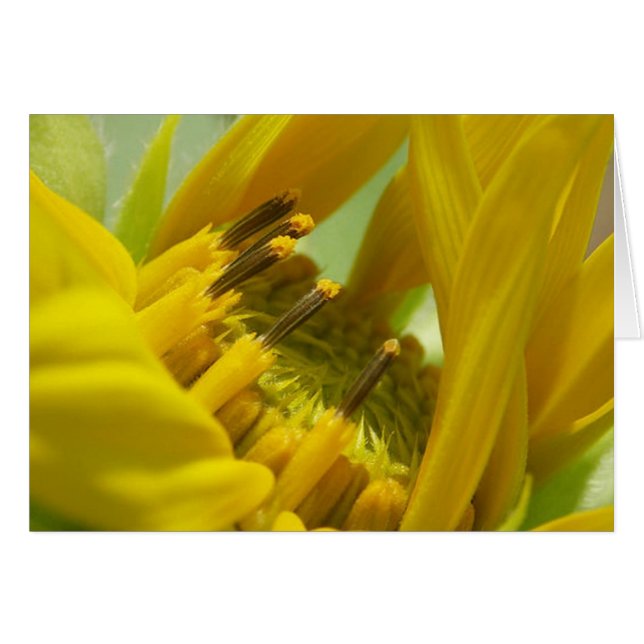 Te amo (Voorkant Horizontaal)