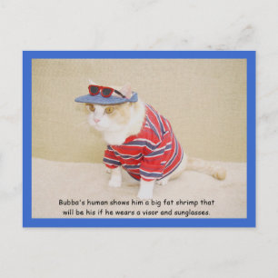 Te Cool Bubba Kat Briefkaart