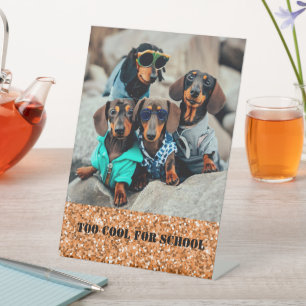 Te cool voor school dachshund bende reclamebord met voetstuk