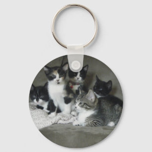 Te Cute Kittens Sleutelhanger