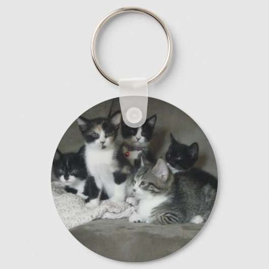 Te Cute Kittens Sleutelhanger (Voorkant)