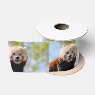 Te duur schattig lint