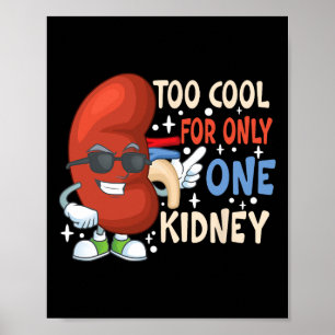 Te koel voor slechts één niertransplantaat poster