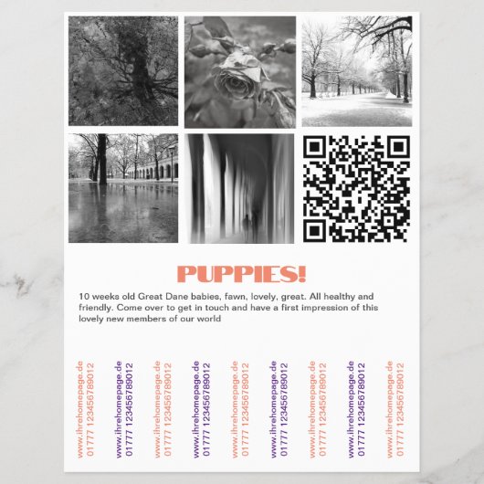 Te Koop Dane Pups Flyer (Voorkant)