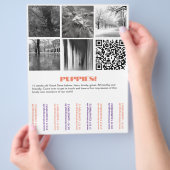 Te Koop Dane Pups Flyer (Hand)