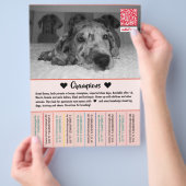 Te Koop Dane Pups Flyer (Hand)