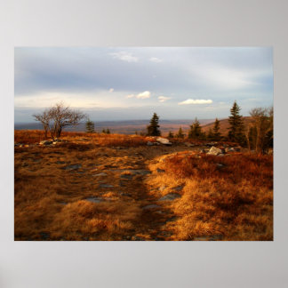 Te late middag op de Sods Poster