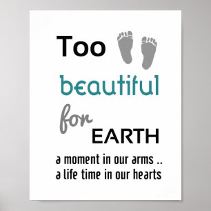 Te mooi (standaard fotolijst formaat) poster
