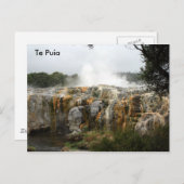 Te Puia Briefkaart (Voorkant / Achterkant)
