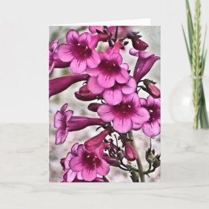 Te quiero, spaanse Valentijnsdag kaart