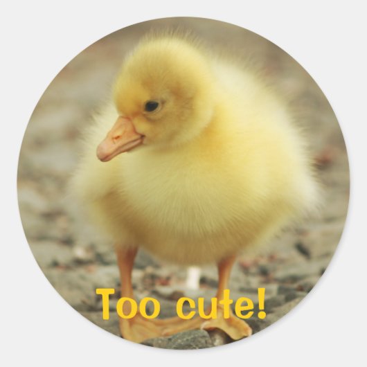 Te schattig! ronde sticker (Voorkant)