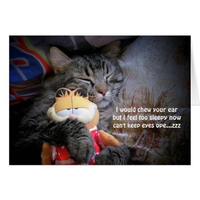 Te slaperige haiku (Voorkant Horizontaal)