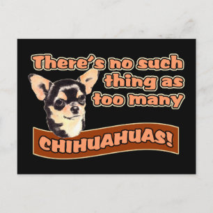 "Te veel Chihuahuas" Briefkaart