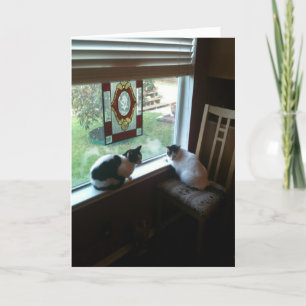 Te wachten katten kaart