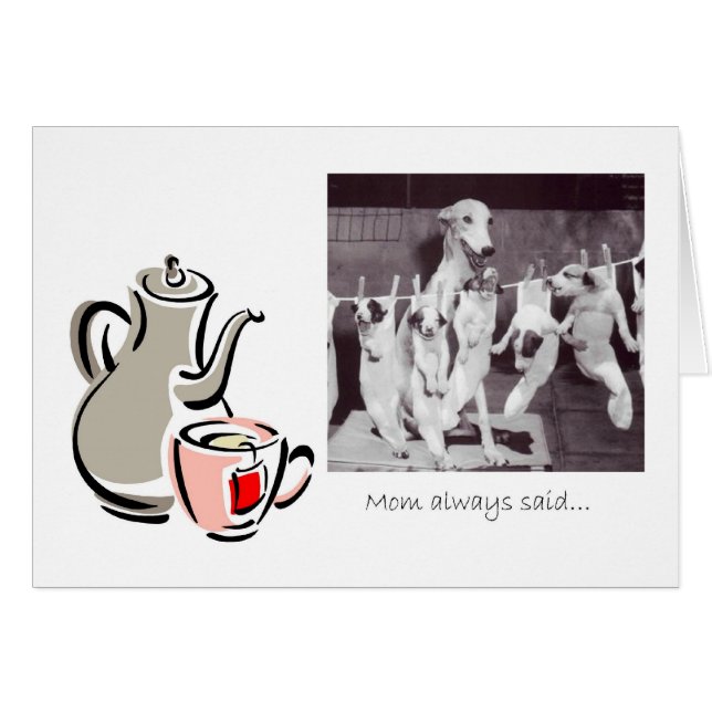 Tea-advies van een Greyhound mama (Voorkant Horizontaal)