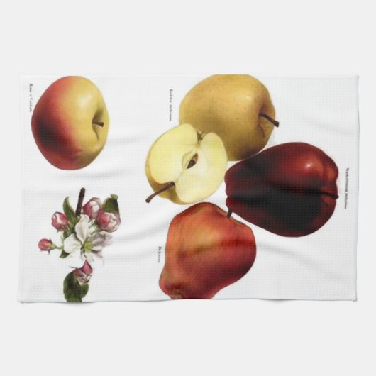  tea-handdoek theedoek (Horizontaal)