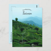 Tea Plantation in Taiwan Briefkaart (Voorkant / Achterkant)