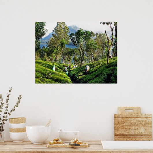 Tea Plantation Poster (Keuken)