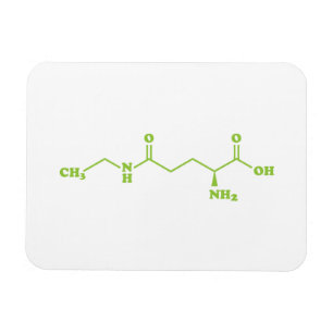 Tea Theanine Molecular Chemical Formula Magneet