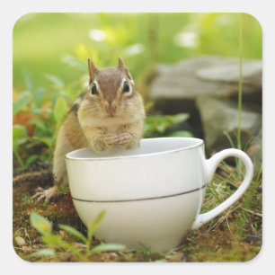 Tea Time Chipmunk Vierkante Sticker