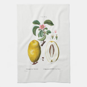 TEA TOWEL : REDOUTÉ : KINDEREN THEEDOEK
