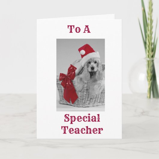 **TEACHER** GETS SPANIEL WIST IN CHRISTMAS FEESTDAGEN KAART (Voorkant)
