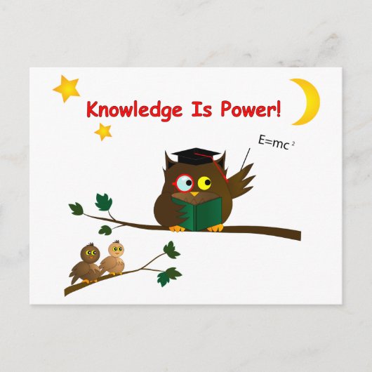 Teaching Wise Owl Briefkaart (Voorkant)