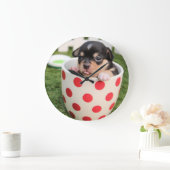 Teacup Chihuahua Puppy Grote Klok (Huis)