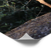 Teacup Chihuahua Puppy Poster (Hoek)