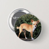 Teacup Chihuahua Puppy Ronde Button 5,7 Cm (Voorkant /achterkant)