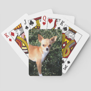 Teacup Chihuahua Puppy Speelkaarten