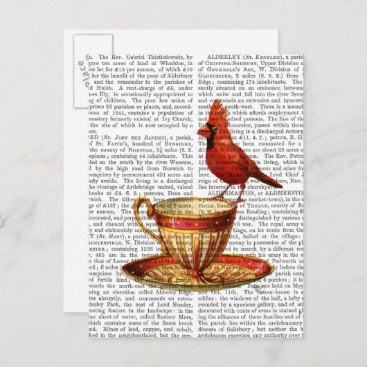 Teacup en rode kardinaal briefkaart (Voorkant / Achterkant)