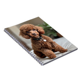 Teacup Poodle 2 Notitieboek