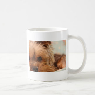 teacup yorkie puppy koffiemok