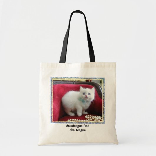 TEAGUE Canvas tas (Voorkant)