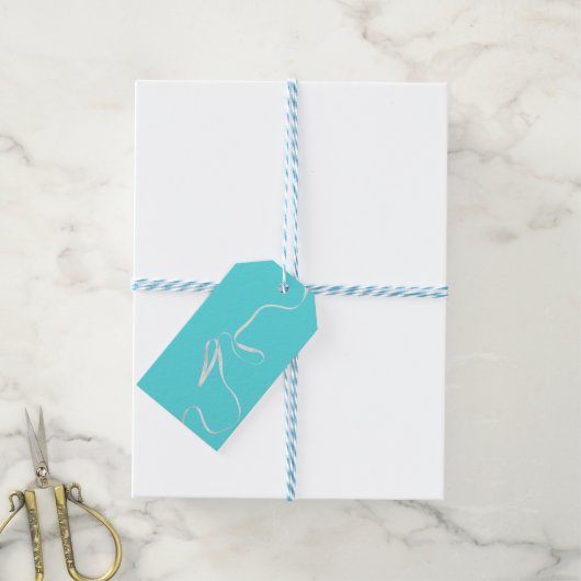 Teal & Lint Cadeaulabel (Met Touw)