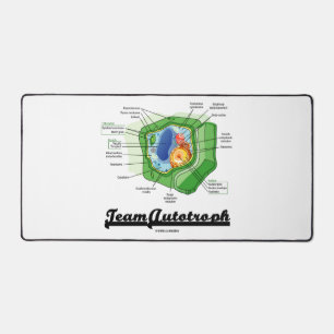 Team Autotroph Plant celbiologie Bureaumat