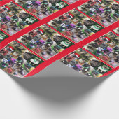 Team B4 Cadeaupapier (Hoek)